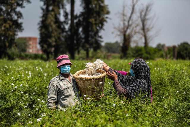 jasmine-trade-farmer