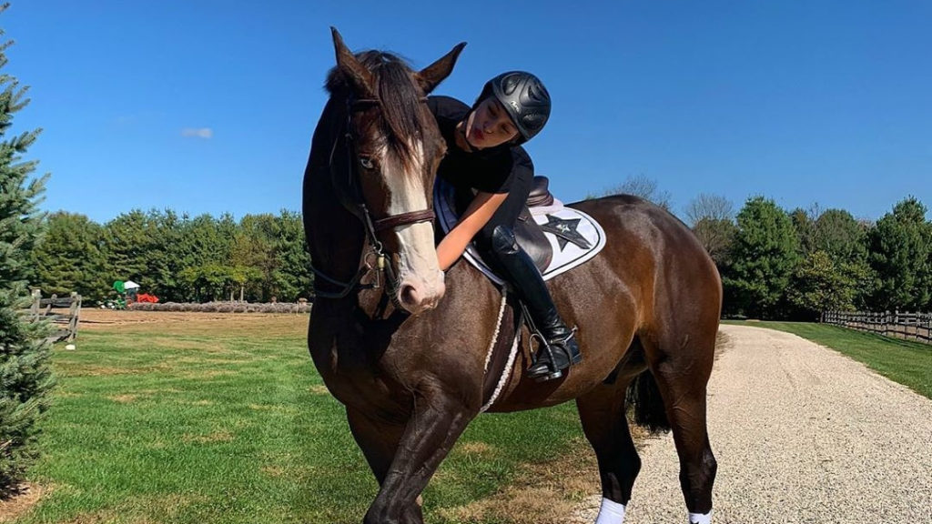 bella-blue-horse