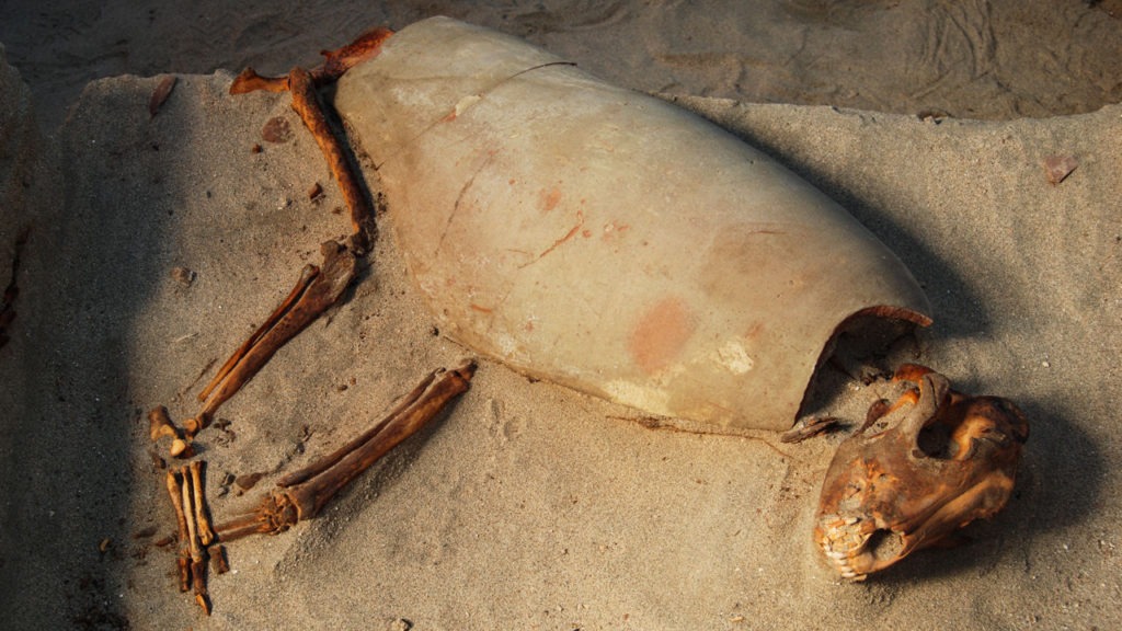 World's oldest pet cemetery.